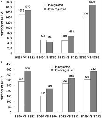 Integration of Transcriptomic and Proteomic Profiles Reveals Multiple Levels of Genetic Regulation of Taproot Growth in Sugar Beet (Beta vulgaris L.)